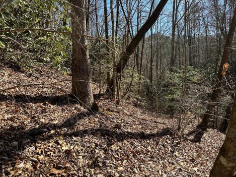 Lt 7 Valley View Heights Andrews NC 28901