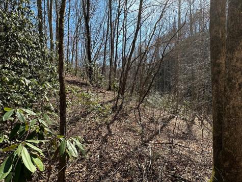 Lt 7 Valley View Heights Andrews NC 28901