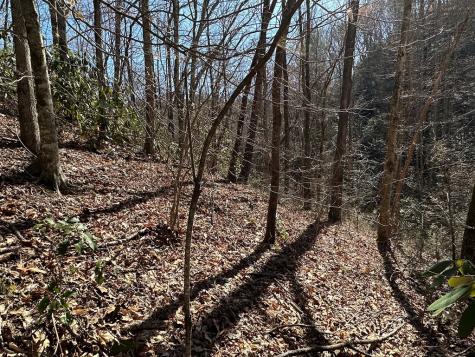 Lt 7 Valley View Heights Andrews NC 28901