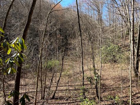 Lt 7 Valley View Heights Andrews NC 28901