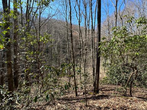 Lt 7 Valley View Heights Andrews NC 28901