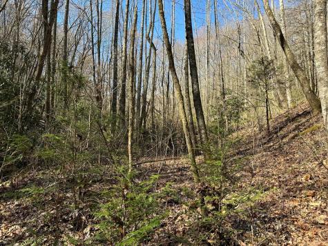 Lt 7 Valley View Heights Andrews NC 28901