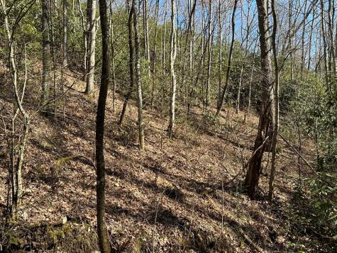 Lt 7 Valley View Heights Andrews NC 28901