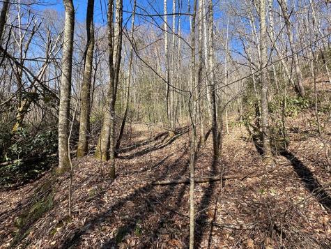 Lt 7 Valley View Heights Andrews NC 28901