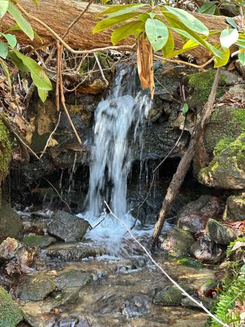 Lt 7 Valley View Heights Andrews NC 28901