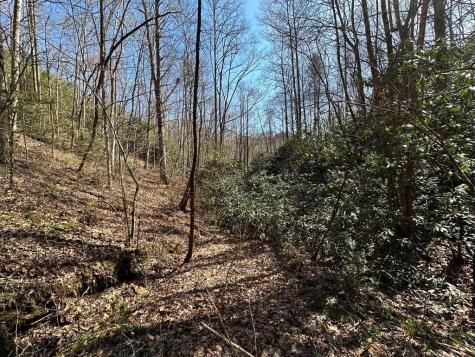 Lt 7 Valley View Heights Andrews NC 28901