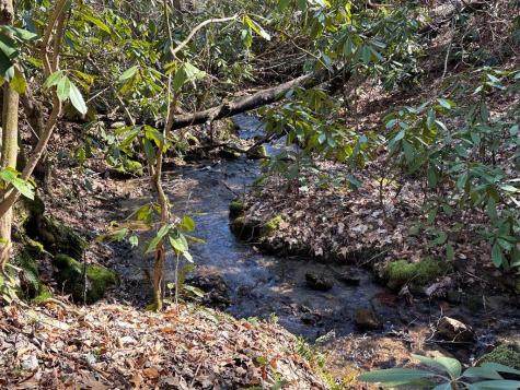 Lt 7 Valley View Heights Andrews NC 28901