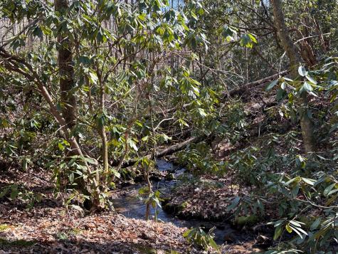 Lt 7 Valley View Heights Andrews NC 28901