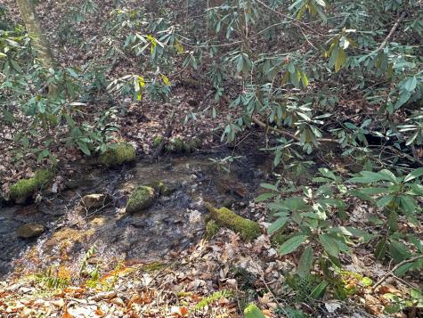 Lt 7 Valley View Heights Andrews NC 28901