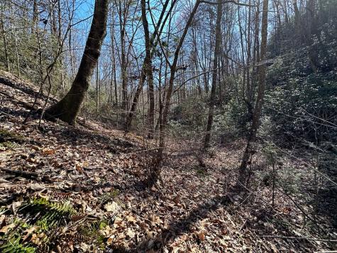 Lt 7 Valley View Heights Andrews NC 28901