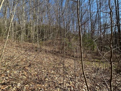 Lt 7 Valley View Heights Andrews NC 28901