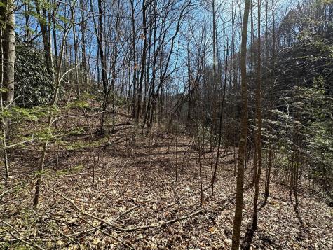 Lt 7 Valley View Heights Andrews NC 28901