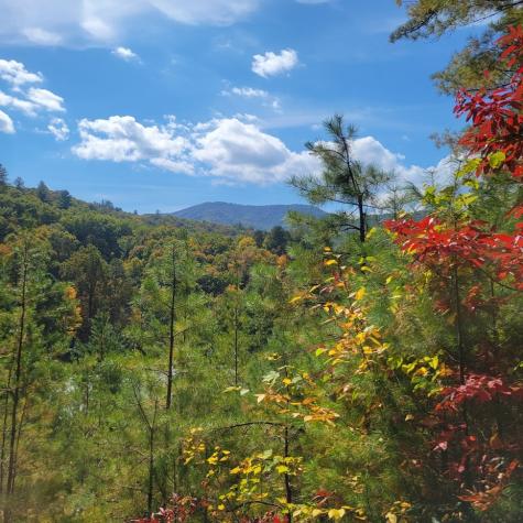 3.38 Long Creek Robbinsville NC 28771