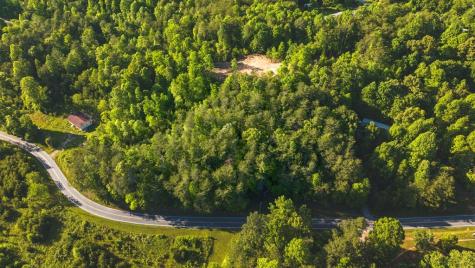 TR 3 W Gum Log Road Warne NC 28909