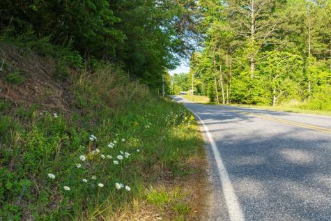 Tr 3 W Gum Log Road Warne NC 28909