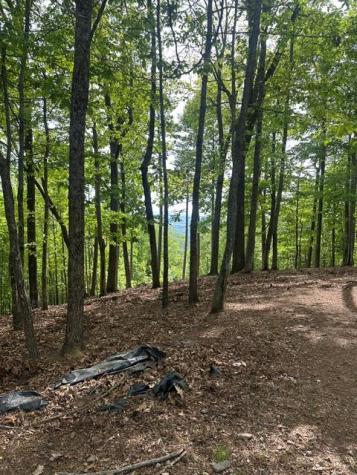 Lot 4 Hampton Knob Murphy NC 28906