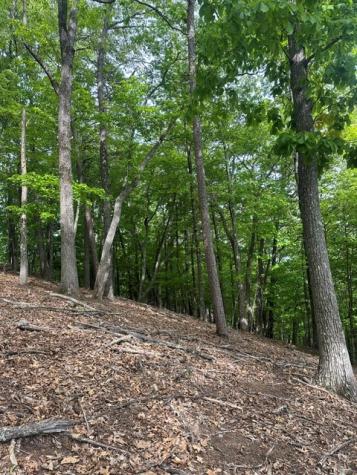 Lot 4 Hampton Knob Murphy NC 28906