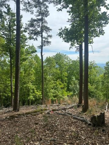 Lot 4 Hampton Knob Murphy NC 28906