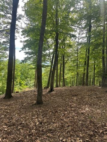Lot 4 Hampton Knob Murphy NC 28906