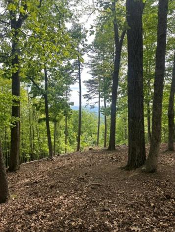 Lot 4 Hampton Knob Murphy NC 28906