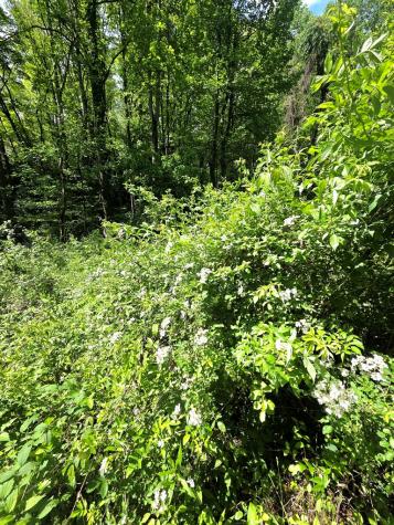 00 Vincent Colvin Road Robbinsville NC 28771