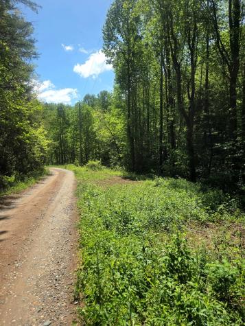 00 Vincent Colvin Road Robbinsville NC 28771