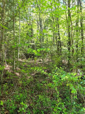 00 Vincent Colvin Road Robbinsville NC 28771