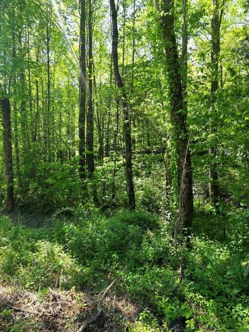 00 Vincent Colvin Road Robbinsville NC 28771