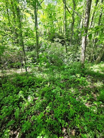 00 Vincent Colvin Road Robbinsville NC 28771