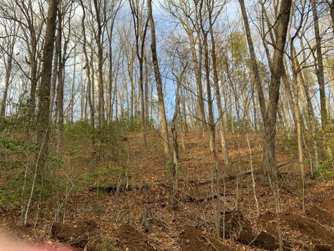 Lot 8 Ivy Log Road Murphy NC 28906