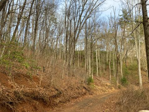 Lot 8 Ivy Log Road Murphy NC 28906