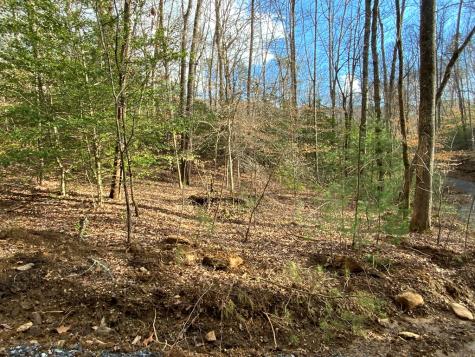 Lot 8 Ivy Log Road Murphy NC 28906