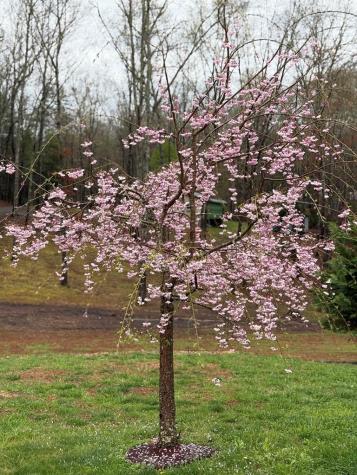 245 Panther Hill Road Murphy NC 28906