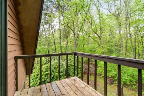 206 Ivy Knob Lane Hayesville NC 28904