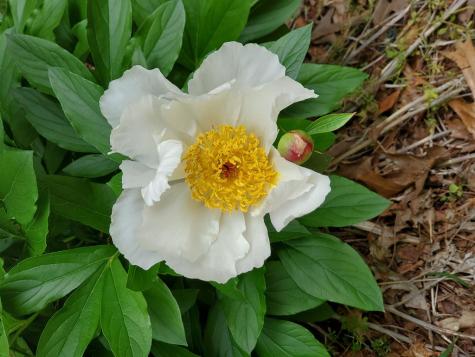 552 Leonard Lane Murphy NC 28906