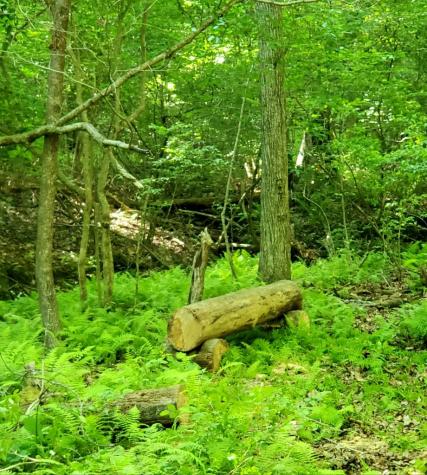 552 Leonard Lane Murphy NC 28906