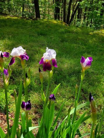 552 Leonard Lane Murphy NC 28906