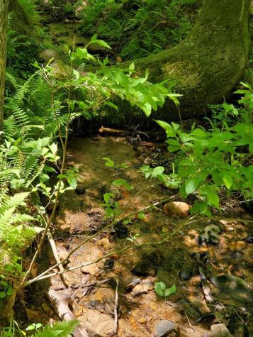 552 Leonard Lane Murphy NC 28906