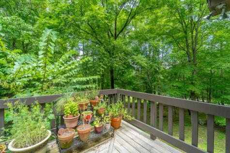 1221 Sam Cove Robbinsville NC 28771