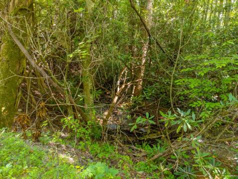 1221 Sam Cove Robbinsville NC 28771