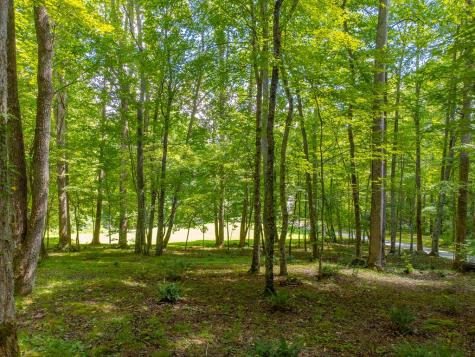 1221 Sam Cove Robbinsville NC 28771