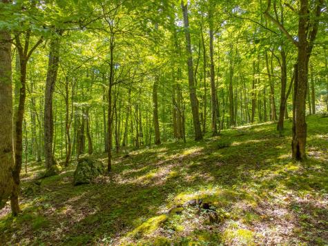 1221 Sam Cove Robbinsville NC 28771