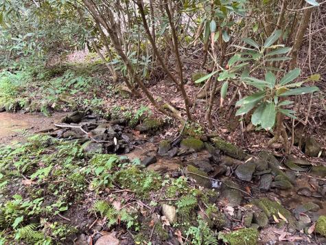 1221 Sam Cove Robbinsville NC 28771