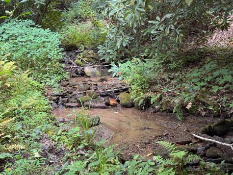 1221 Sam Cove Robbinsville NC 28771