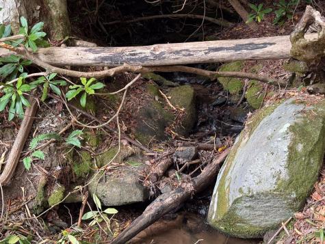 1221 Sam Cove Robbinsville NC 28771