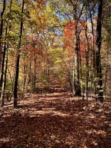 224 Pine Bough Road Murphy NC 28906