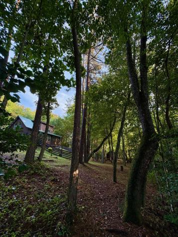 250 Hickory Woods Trail Murphy NC 28906