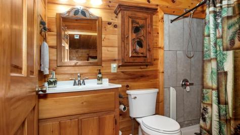 118 Ringtail Run Murphy NC 28906