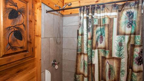 118 Ringtail Run Murphy NC 28906