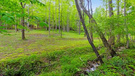 118 Ringtail Run Murphy NC 28906